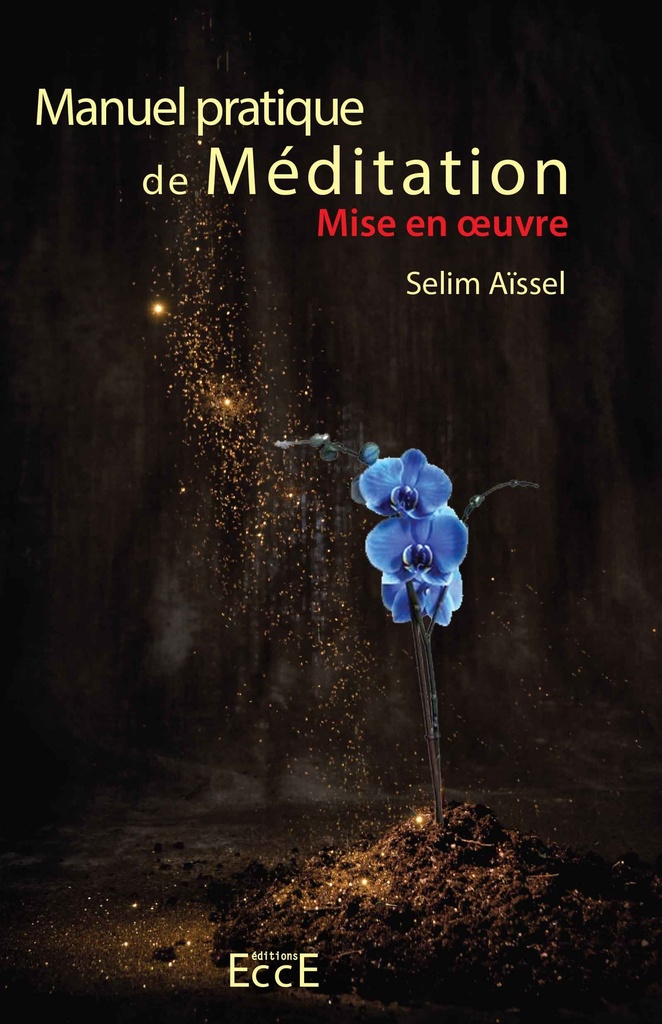 Manuel pratique de Méditation T3 - Mise en oeuvre