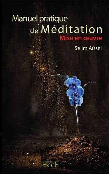 Manuel pratique de Méditation T3 - Mise en oeuvre