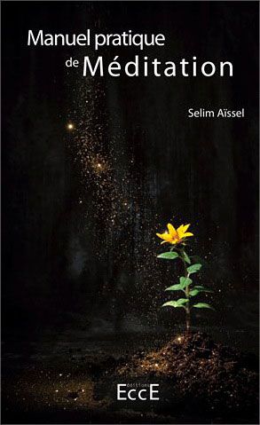 [épuisé] Manuel Pratique de Méditation, Selim Aïssel