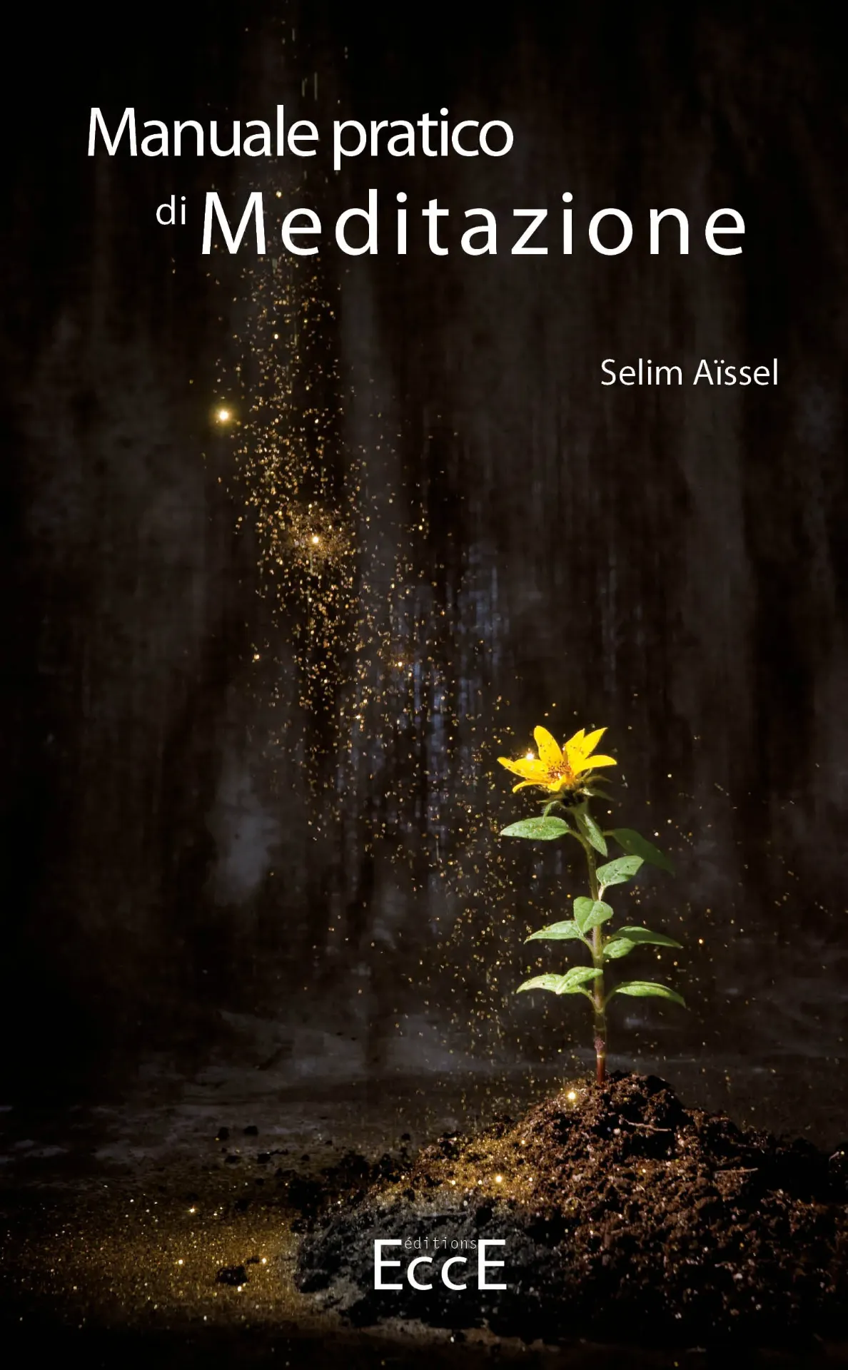 Manuale pratico di Meditazione T1 [IT]