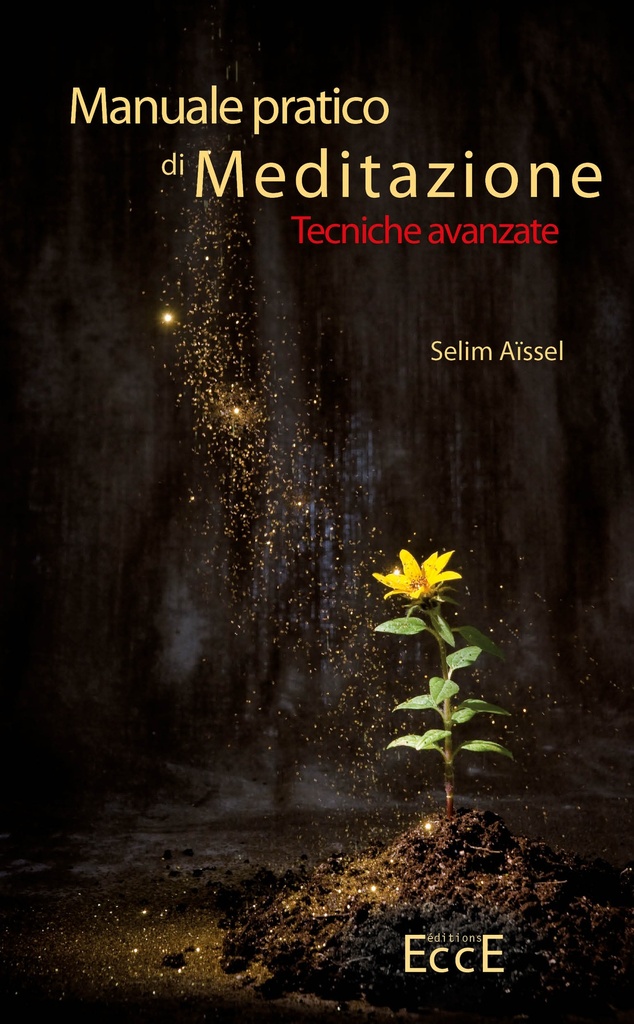 Manuale pratico di Meditazione - Tecniche avanzate T2 [IT]